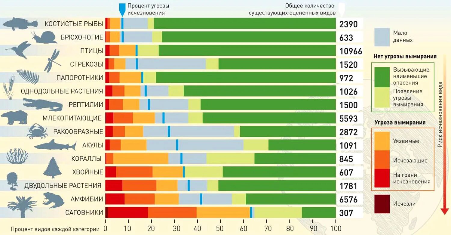 Вымирание видов животных статистика. График исчезновения видов животных. Статистика исчезновения животных. Уменьшение биоразнообразия график. Сколько дать на планете