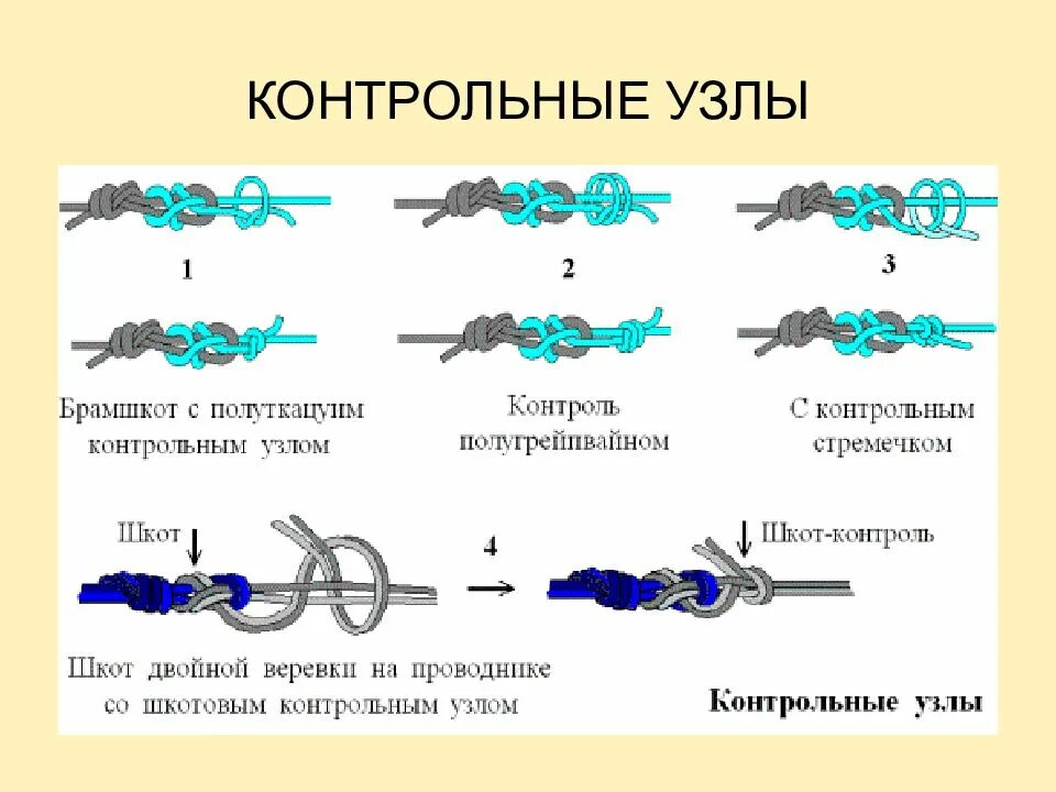 Узлы требующие контрольный узел. Шкотовый узел с контрольными узлами. Двойной контрольный узел. Двойной контрольный узел схема. 4 пожарных узла