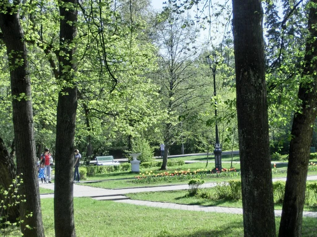 Университетская роща Томск. Томск парк. Игуменский парк Томск. Сквер Томск.