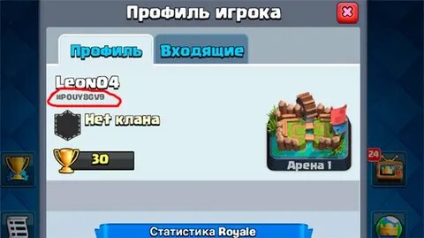 Тег игрока