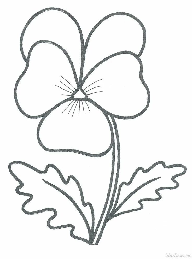 Шаблон фиалки. Шаблон фиалки. Цветок контур. Контур цветка для аппликации. Шаблон фиалки.