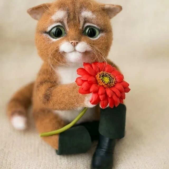 Кот сапог жж livejournal. Котик дарит цветы. кот дарит цветочек. дарю кота. кот дарит цветы картинки.