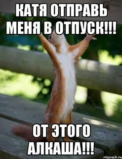 Отправь екатерине