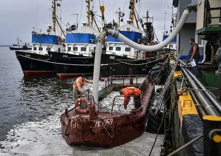 Российское рыболовство