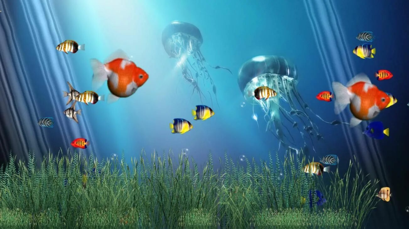 Бесплатные живые обои рыбки. Живой аквариум. Обои аквариум. Аквариум 3д. Живые рыбки.