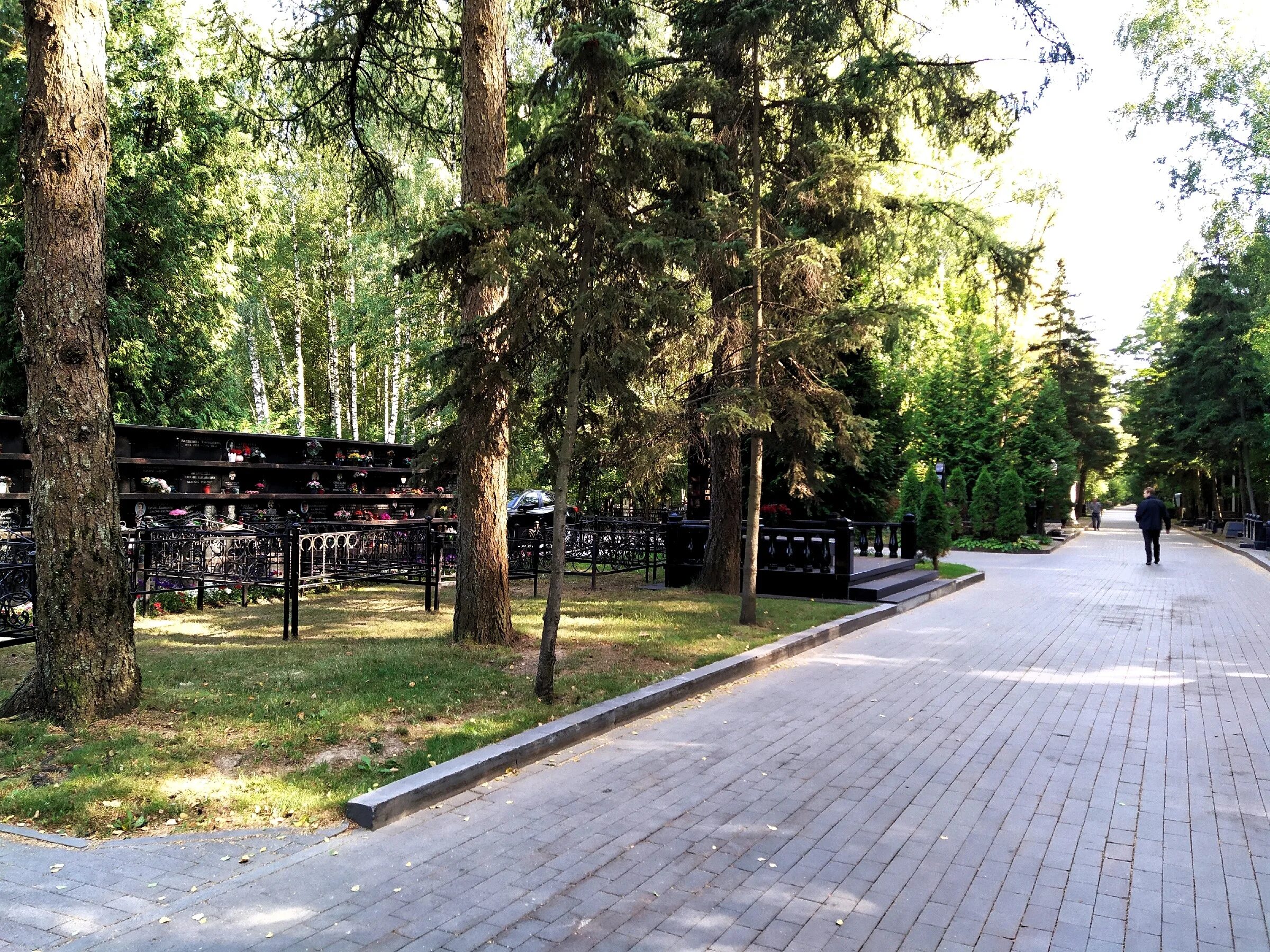 Востряковское еврейское кладбище. Востряковское кладбище схема захоронений. Востряковское кладбище могилы знаменитостей. Востряково кладбище в москве. Востряковское кладбище 2 участок.