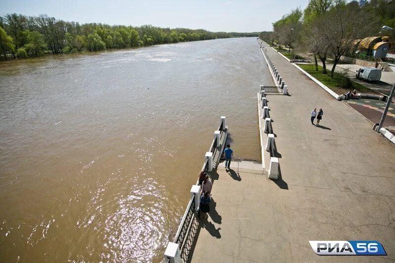 Уровень воды в реке урал сегодня. Оренбург река Урал разлив. Река Урал в Оренбурге сейчас. Набережная реки Урал Оренбург. Разлив Урала в Оренбурге.