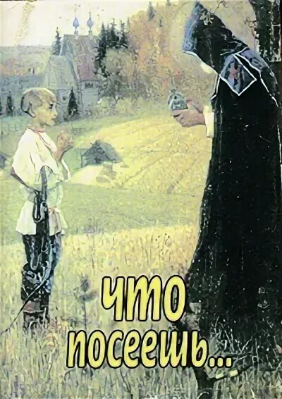 Выражение что посеешь то. Выражение что посеешь то