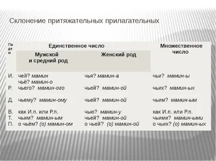 Притяжательные прилагательные падеж