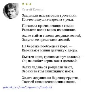 Стихи есенина там где капустные