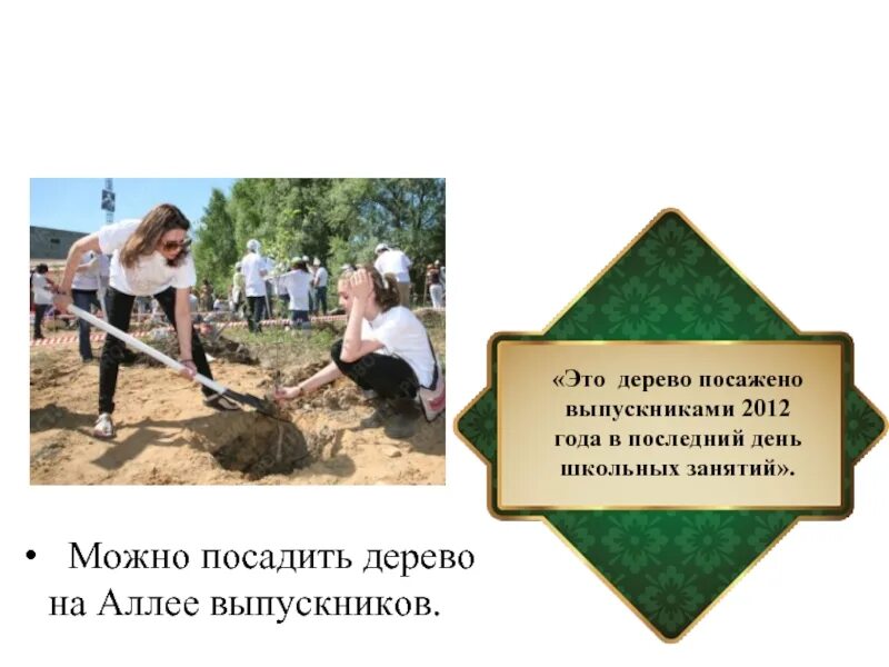 Посадка деревьев выпускниками. Аллея выпускников табличка. табличка для посадки дерева. табличка дерево посажено выпускниками. табличка на дерево от выпускников.