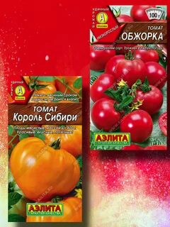 Король сибири