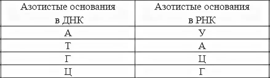 Таблица комплементарности РНК. Таблица комплементарности ДНК. Принцип комплементарности ДНК И РНК. Таблица комплементарности ДНК И РНК.