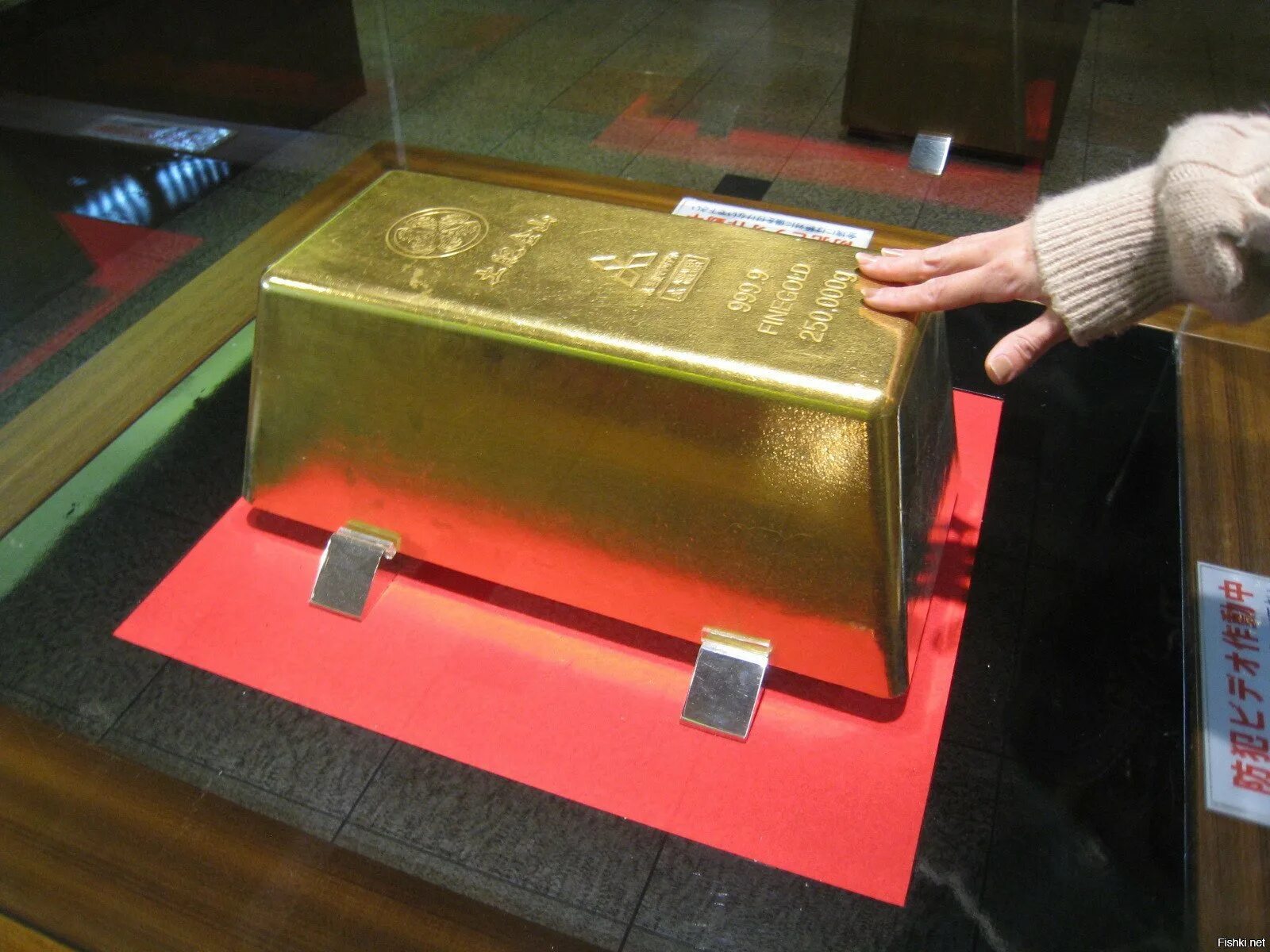 Слиток золота 250 килограмм. Самый большой слиток золота в мире. Слиток золота 12 кг. Самый большой слиток золота в мире с весом 250. 1 слиток золота весит