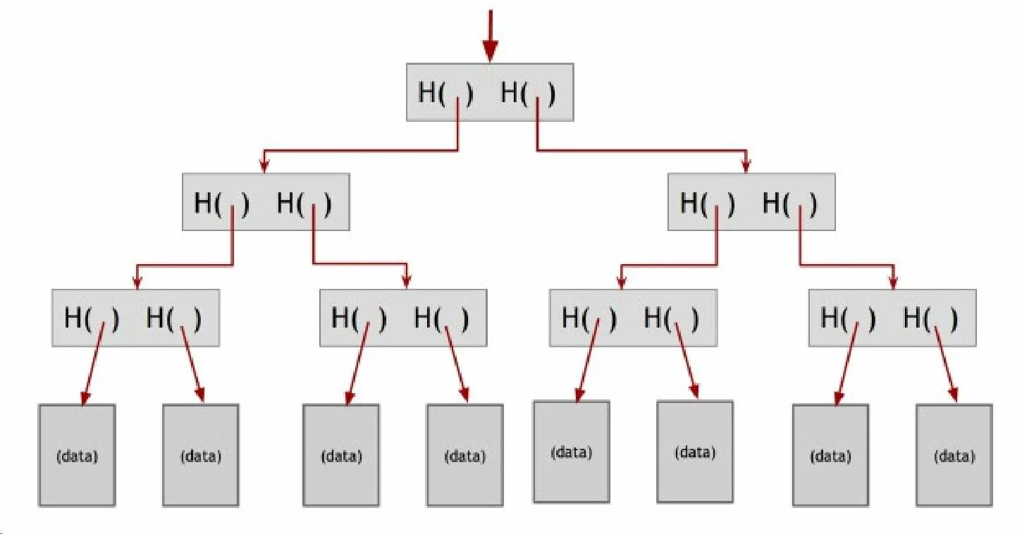 Merkle tree. Хеш дерево меркла. Дерево меркла разные размеры. Merkle patricia tree. Дерево хешей.
