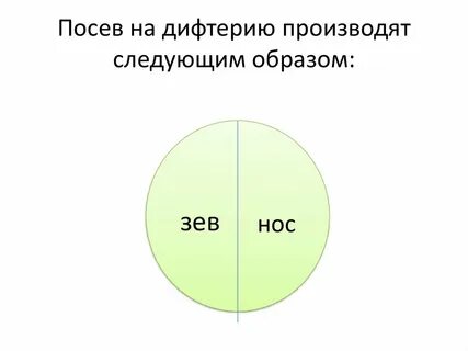 Материал на дифтерию