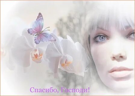 Пусть 17