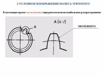 Основные элементы зубчатого колеса