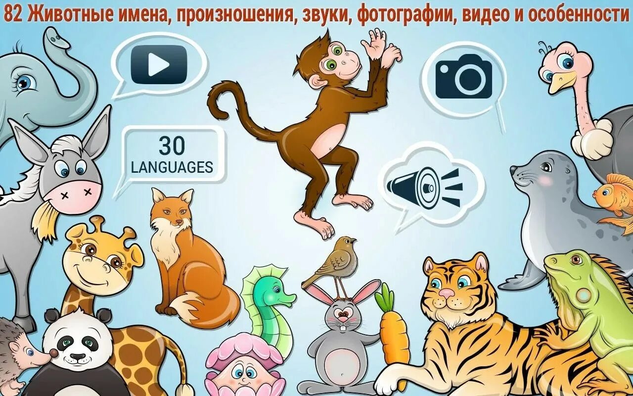 Animals edition. Животные приложение. Паззл 4 детей животные. Приложение животные для детей. Дети головоломка 82 животных.