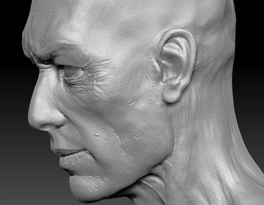 4head широкий. 5 head. Бюст головы кость. 6head emote. 3д голова человека.