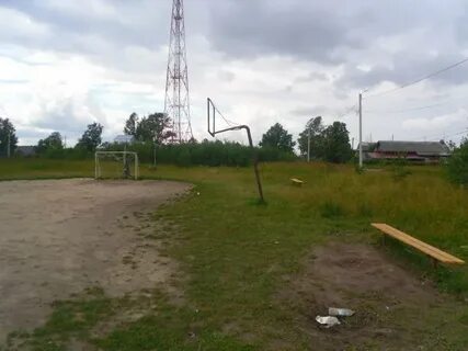 Кинешма сокольники