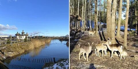 Брестская область зооландшафтный парк парк животных