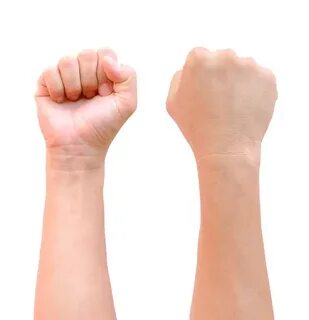 Fist 24