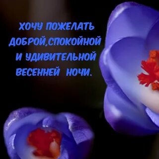 Спокойной ночи женщине весенние