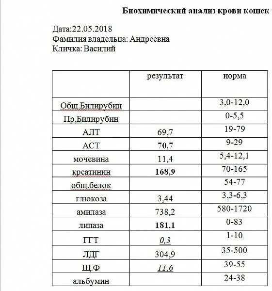 Биохимия крови нормальные показатели. Биохимический анализ крови норма таблица сахар. Норма анализов биохимии крови у мужчин. Норма биохимического анализа крови у женщин после 40. Норма сахара в крови у кошек