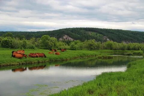 Погода иркутская область небель