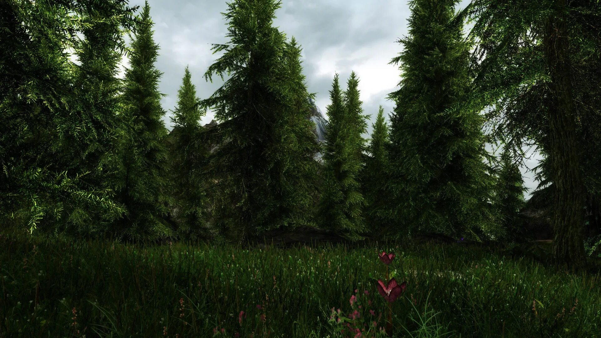 Skyrim Trees Vanilla. Skyrim lod деревья. Skyrim enhanced Vanilla Trees. Enhanced Vanilla Trees se Skyrim se. Trees skyrim