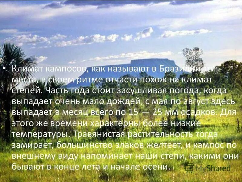 Что такое кампос. Кампос фото. Что такое кампос. Кампос это в географии. Растительный мир кампоса в южной америке.