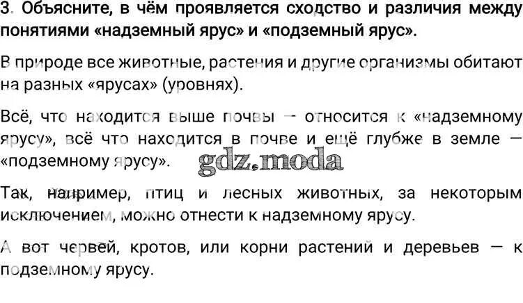 Объясните различие между понятиями. В чем сходства и различия между надземным и подземным ярусами. 31 Параграф биология 6 класс вопросы. Надземный ярус и подземный ярус – сходства и различия. Биология 6 класс параграф 31 ярусы растений Пономарева.