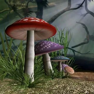 Hypno mushroom