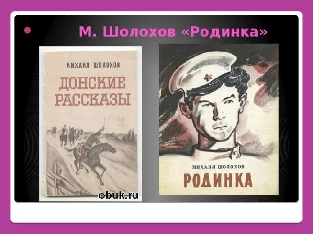 Главные герои рассказа родинка шолохова. Шолохов родинка Николка. Рассказ Шолохова родинка. Шолохов Донские рассказы иллюстрации родинка.