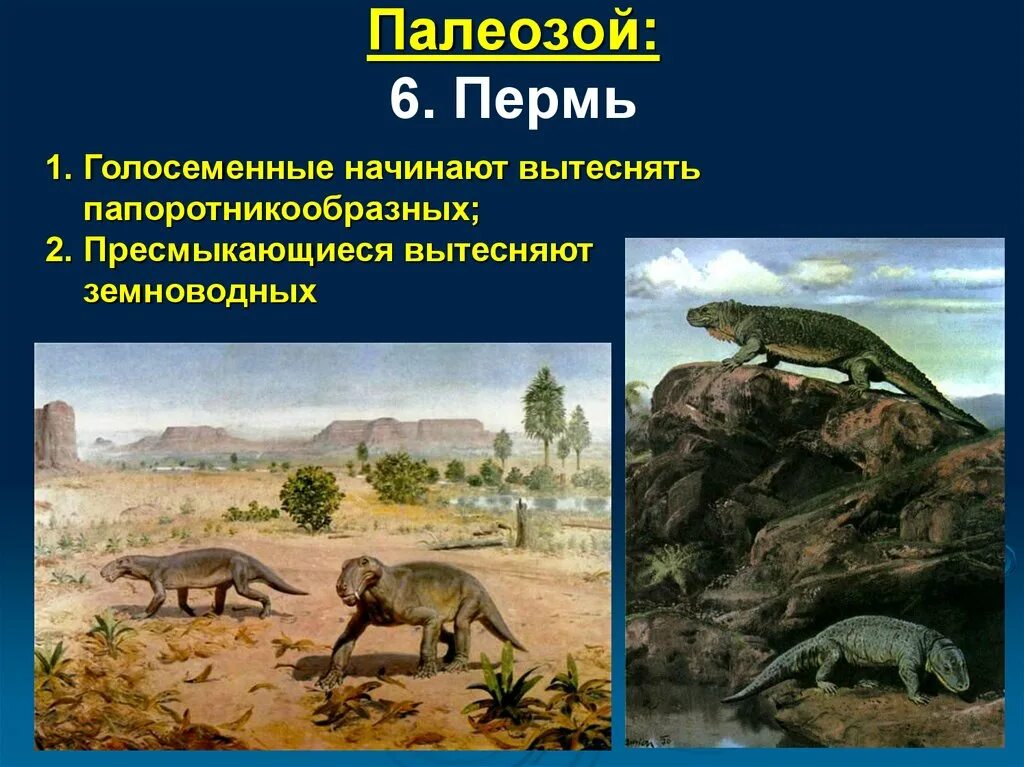 Палеозой кратко. Палеозой. Палеозой Эра. Пермский период кратко. Пермский период животные.