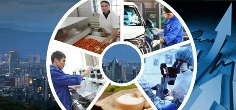 Промышленность малого и среднего бизнеса
