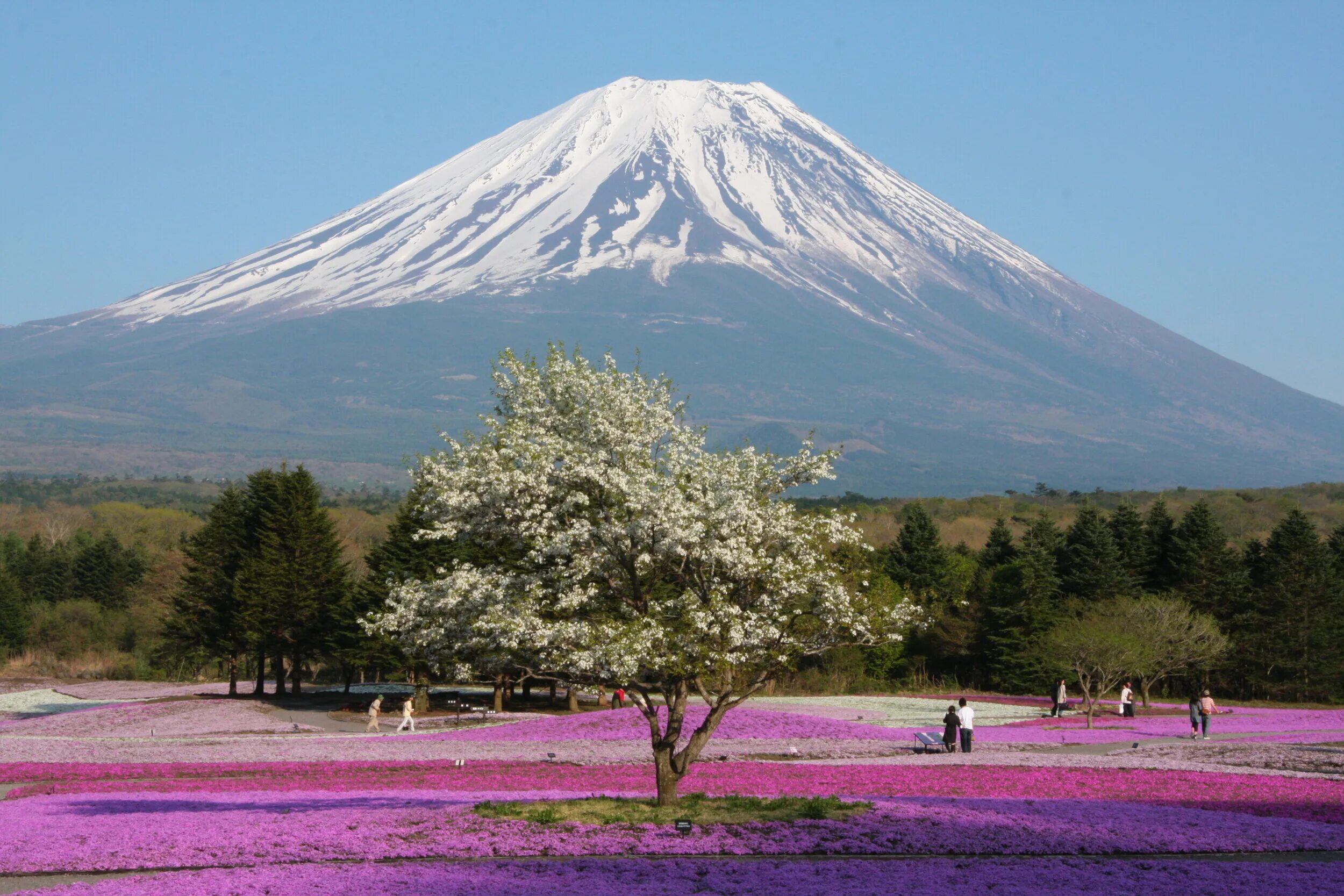 Вулкан Фудзияма в Японии. Гора Фудзияма (Фудзи). Гора Fuji Япония. Достопримечательности Японии гора Фудзияма.