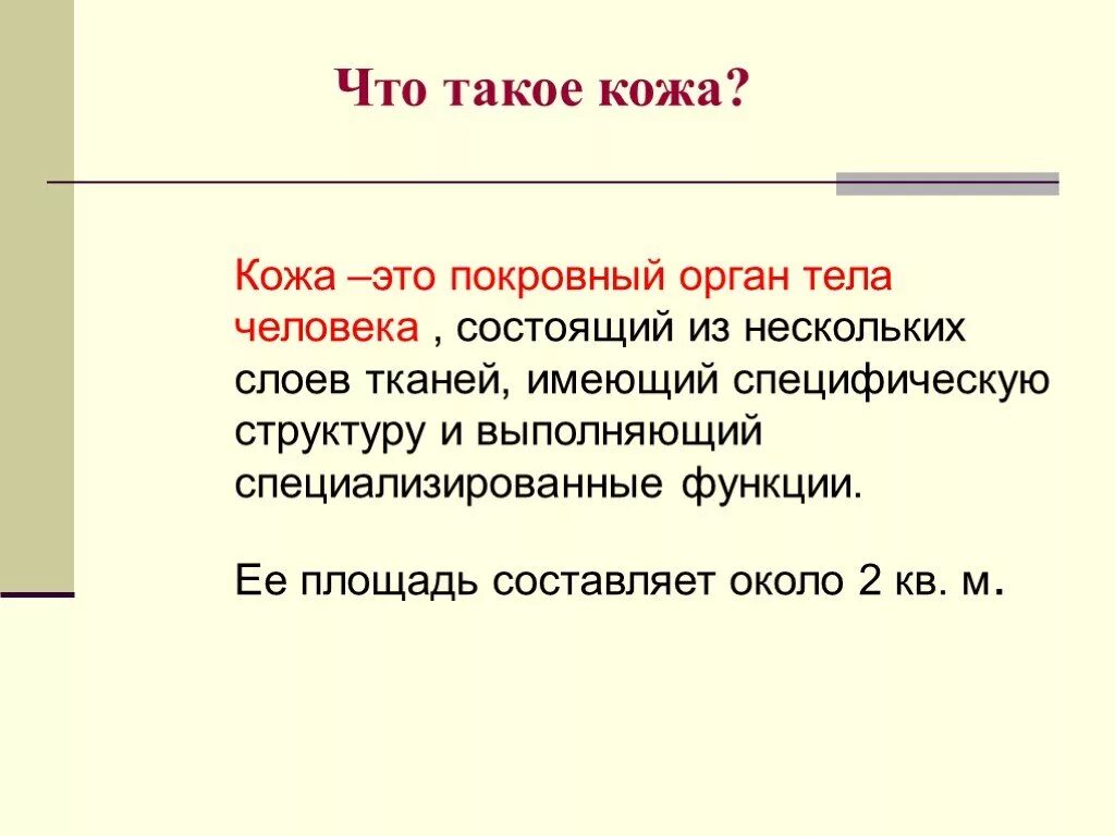 Сообщение на тему кожа 8 класс. Что такое кожа человека определение. кожа это покровный орган тела человека. ожа. кожа человека презентация.