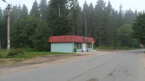 Погода в рощино ленинградской