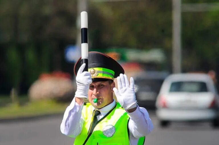 Минтранс николай владимирович хрумалов владимирович. Регулировщик на дороге. Беседа с инспектором дпс. Регулировщик. Полицейский регулировщик дорожного движения.