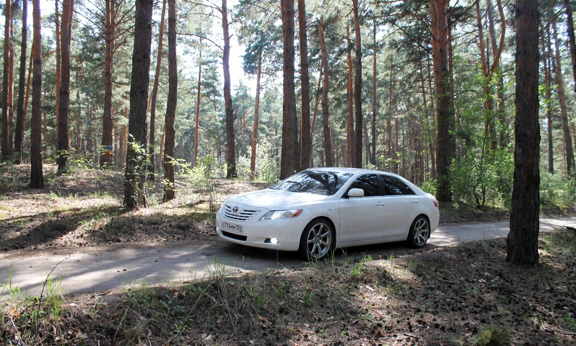 Дром тайга. Toyota Taiga. Лесу машина 300. Тойота Тайга белая. Тойота Тайга фото.