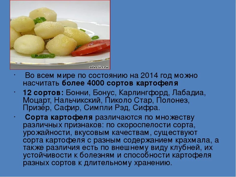 Польза картошки