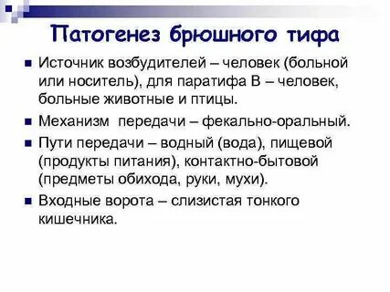Ведущим в патогенезе брюшного тифа является