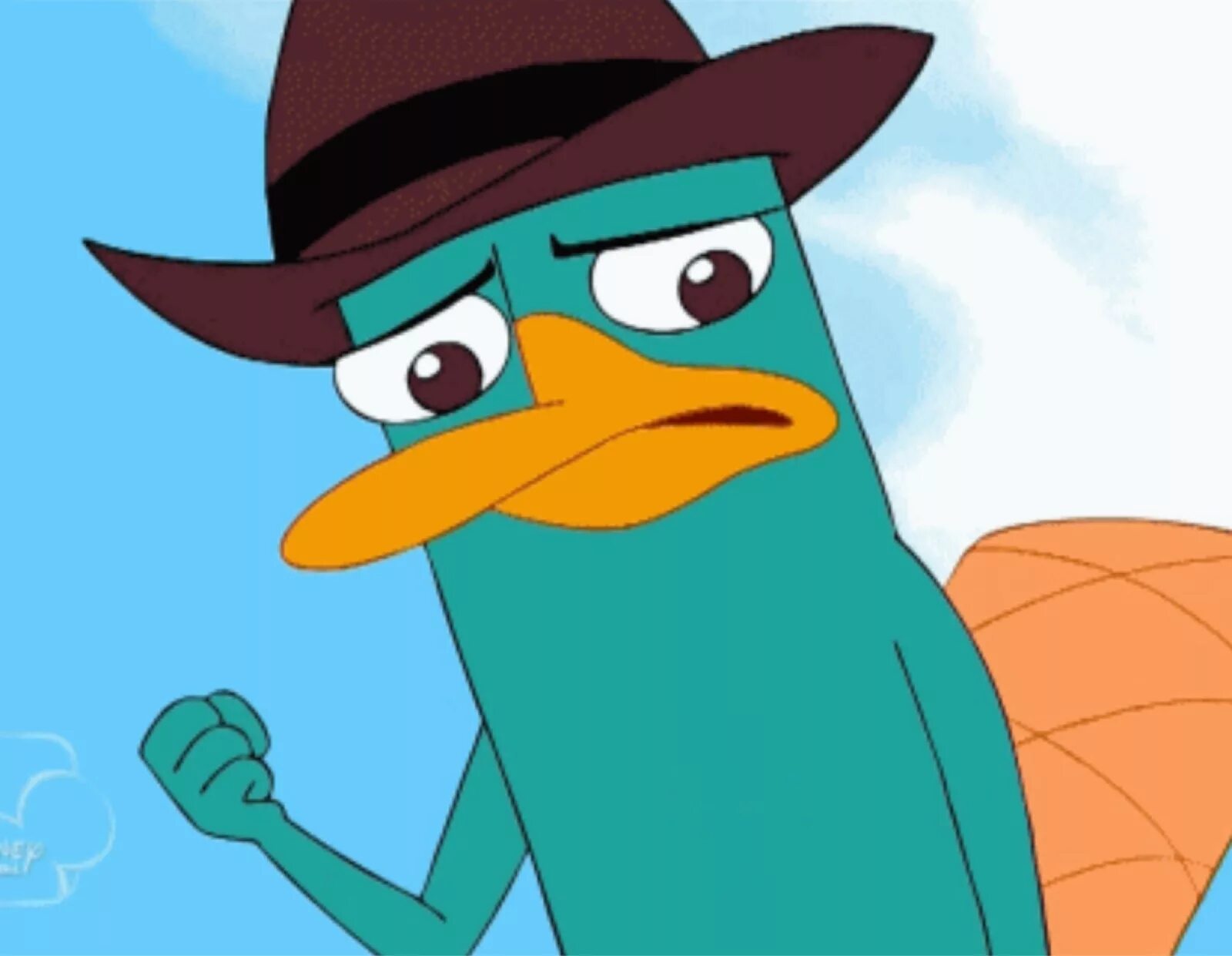 Perry the platypus