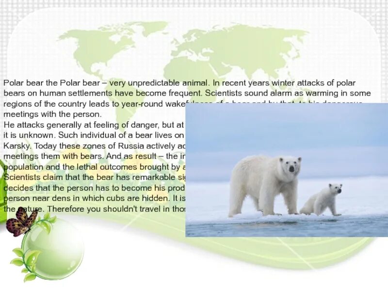 Bear bore born перевод на русский. Белый медведь по английскому. Рассказ о медведе на английском языке. Проект по английскому про медведя. Описание белого медведя по английскому языку.