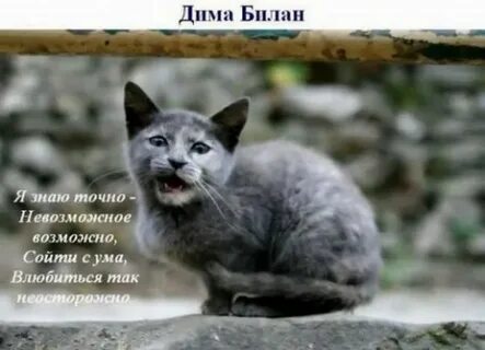 Можно невозможно песня