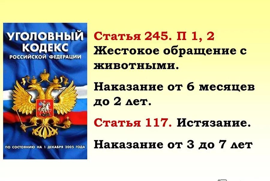 статья 245. животных убивают ответственность. животных убивают ответственность. жестокое обращение с животными. животных убивают ответственность.