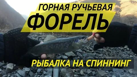 Рыбалка на форель горный алтай