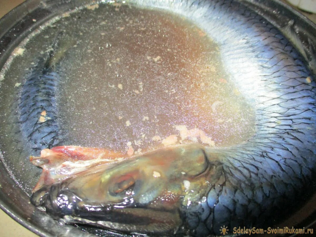 Селедка пластами. Селедка порезанная. Залом селедка. Как понять что селедка испортилась. Рыба селедка внутренности.